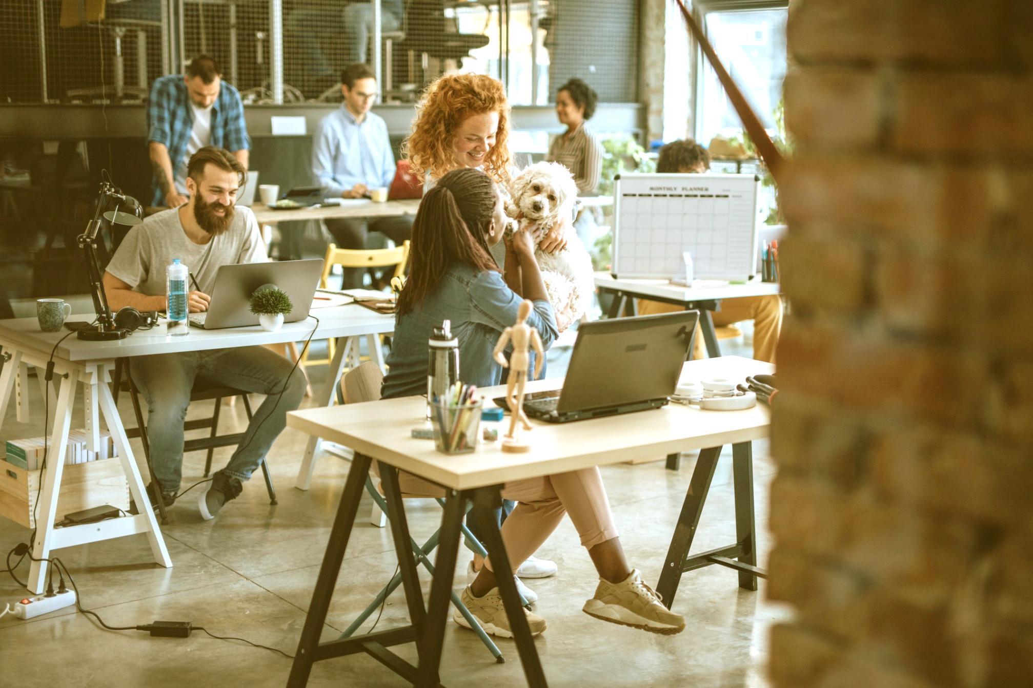 Database administration classroom with students analyzing query performance metrics